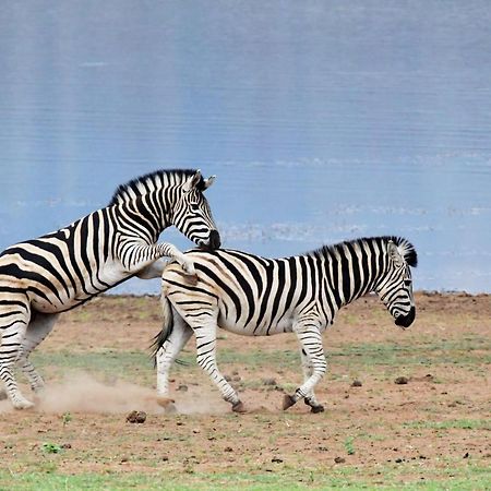 Tented Adventures Pilanesberg Zewnętrze zdjęcie